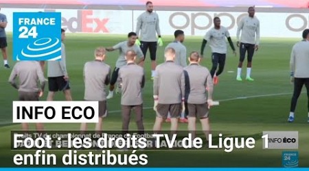 Football : les droits TV de Ligue 1 enfin distribués • FRANCE 24