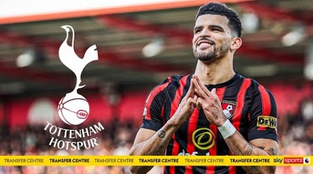 What could Dominic Solanke bring to Tottenham? 