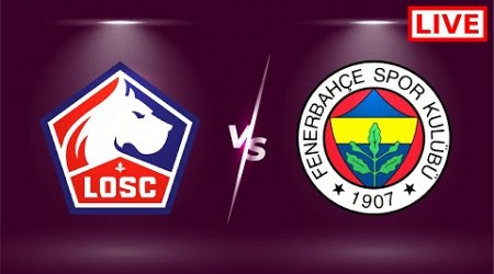 Fenerbahce vs Lille Live Direct | 2024 Champions League - Qualification - Full Match