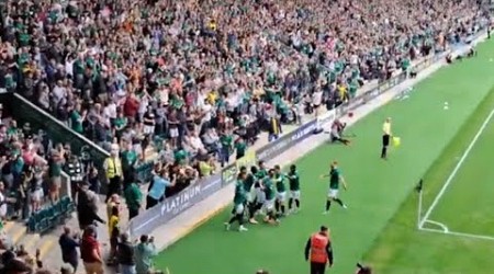 Plymouth Argyle 1-1 Hull City Match Day Vlog Highlights 17th August 2024