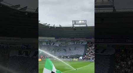 We Are Argyle massive flag V Hull City 17/8/24