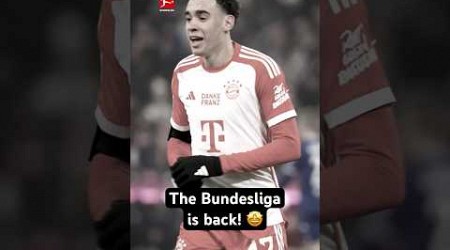 Are You Ready for BUNDESLIGA 2024/25?! 