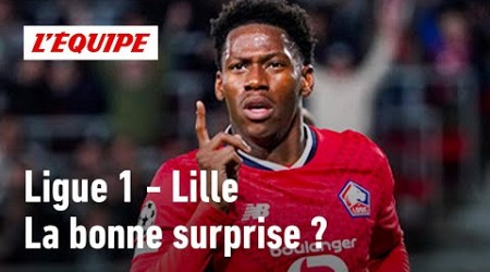 Ligue 1 - Le LOSC peut-il être la bonne surprise de la saison ?