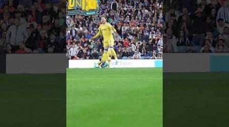 Aaronson goal sends Leeds United away end wild #lufc