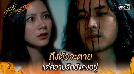 ถึงตัวจะตาย แต่ความรักยังคงอยู่ | Highlight ทองประกายแสด Ep.03 | 21 ส.ค. 67 | one31