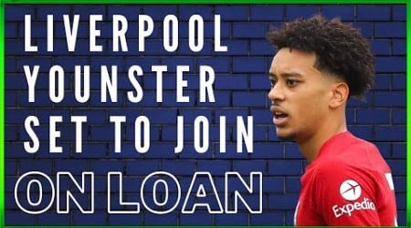 THE DEN DAILY- CALUM SCANLON TO JOIN ON LOAN FROM LIVERPOOL #millwall #lfc #liverpoolfc #efl