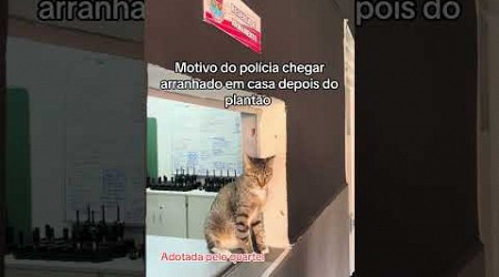 GATO ADOTADO PELO QUARTEL kkkk | CPPEM CONCURSOS PÚBLICOS - PROF. EVERTON MOTA #cppem #policia