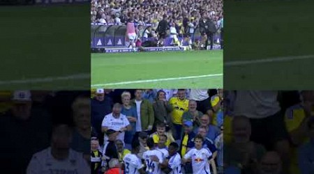 Farke and Elland Road celebrate goals v Hull City | Dugout Cam