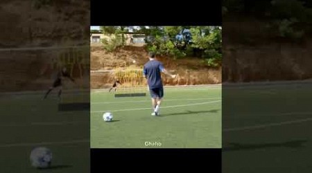 Ronaldo vs Messi vs Neymar Jr vs Mbappe vs Zlatan vs Haaland free kick #tranding | Ghalib italia