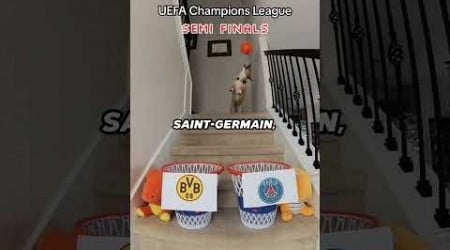 ⚽ Este perro predijo la final de la Champions League