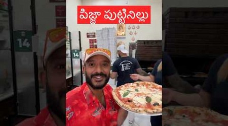 #naaanveshana #prapanchayatrikudu #pizza #napoli #italy