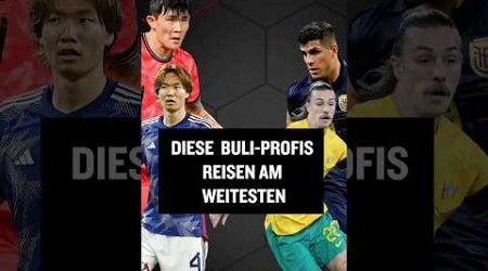 Die Reise-Weltmeister unter den Bundesliga-Profis #shorts