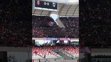 Il gemellaggio tra Bari e Sampdoria si rinnova allo stadio San Nicola! 