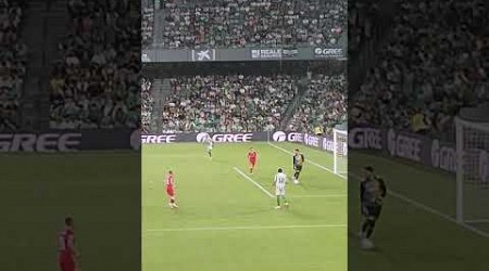 Rui Silva!! Despeja balón en situación de peligro!! Betis-Kryvbas. 29-08-24 #realbetis #football