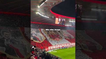 Bayern München! Wie eine Droge! Fangesang Edit mit Text! 