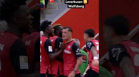 HIGHLIGHTS ⚽️ | Leverkusen defeat Wolfsburg! • Bayer 04 Leverkusen 