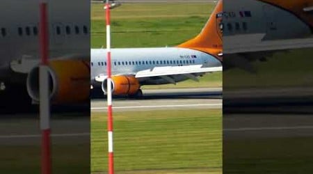 Hull City Livery! Corendon 737-800 Landing at Düsseldorf