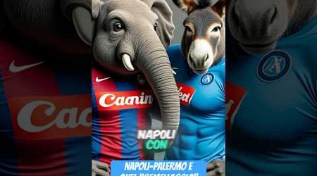 Napoli-Palermo e quel “gemellaggio” con i rivali ⚽️