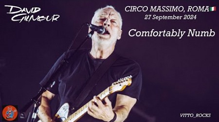 David Gilmour - Comfortably Numb (amazing version