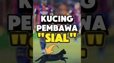 Apakah Kucing Hitam Membawa Sial di Sepak Bola❓