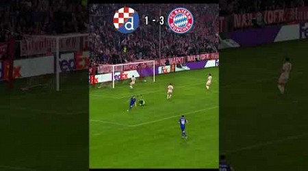 Bayern Munich vs Dinamo Zagreb - 2024 #championsleague