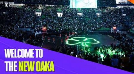 RENOVATED OAKA welcomes the European CHAMPIONS back I Panathinaikos vs Bayern Munich