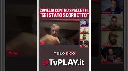 LA SCORRETTEZZA DI SPALLETTI SECONDO CAMELIO 