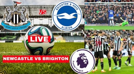 Newcastle vs Brighton 0-1 Live Premier League EPL Football Match Score Commentary Highlights 2024