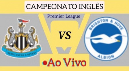 NEWCASTLE X BRIGHTON AO VIVO CAMPEONATO INGLÊS 19/10/2024 - EM TEMPO REAL