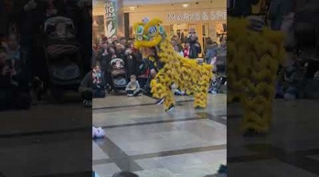 Chinese Dragon Dance - Southampton