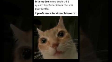 Meme made in Napoli 