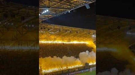 Dynamo Dresden mit Starker Choreo und Lautstärke