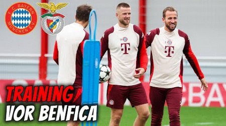 Abschlusstraining vor unserem Duell gegen Benfica Lissabon | Champions League