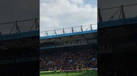 Josh Sargent goal v hull #Norwich city