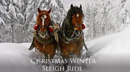 Celtic Christmas Carols, Soft Holiday Christmas Music &quot;Snowy Winter Sleigh Ride&quot; by Tim Janis