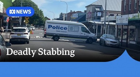 Newcastle stabbing leaves man in his 20s dead | ABC News