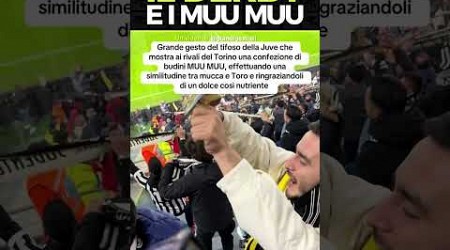 LO JUVENTINO E IL BUDINO #juventus #torino #calcio #seriea