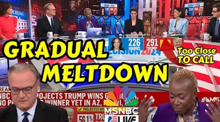 MSNBC 2024 Election Night - Highlights - Priceless!