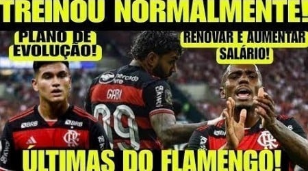 GABI TREINOU NORMALMENTE O FIM DE SEMANA! VAI PRO JOGO? EVERTON ARAÚJO RENOVAÇÃO?PLANO POR ALCARAZ!+