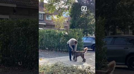 Just Jordan Henderson walking the dog 