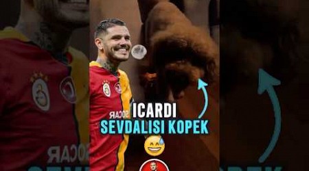 İCARDİ SEVGİSİ KÖPEKLERE BİLE ULAŞTI ✋