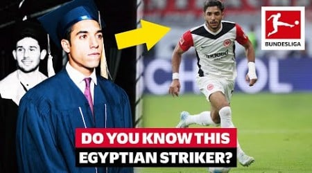 From Cairo to World-Class 