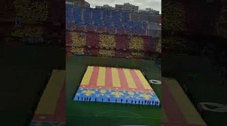 Vuelve el fútbol a Mestalla con el Valencia vs Betis