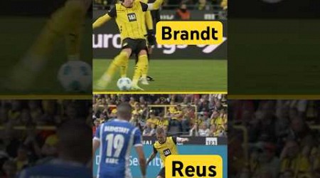 Brandt &amp; Reus: That looks familiar