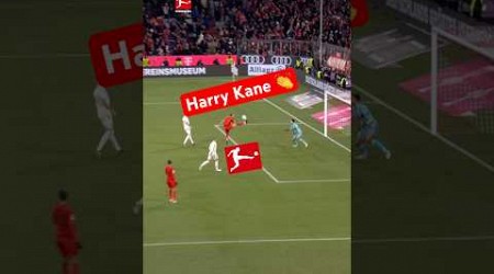 Harry KANE 