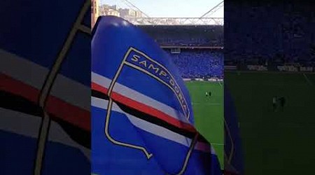 Sampdoria vs Catanzaro 30/11/24 3-3 coreografia #sampdoria