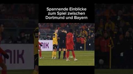 Schiri Micd up bei BVB vs. Bayern