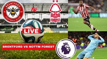 Brentford vs Nottingham Forest Live Stream Premier League EPL Football Match Today Score Highlights