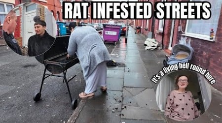 The Scruffiest Rat &amp; Flea Infested Streets in Liverpool