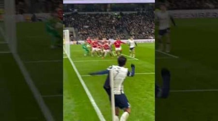 손흥민 HEUNG-MIN SON SCORES FROM A CORNER! &quot;Olimpico&quot; Tottenham v Manchester United: Carabao Cup